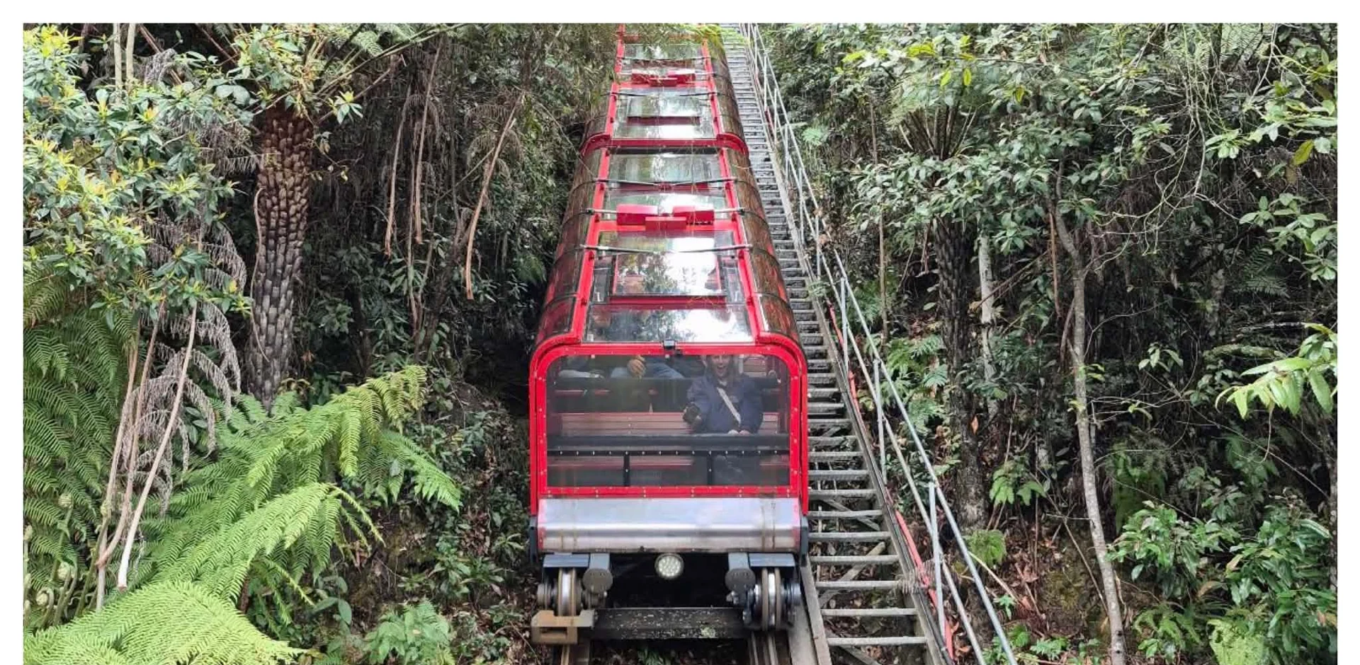 Scenic World